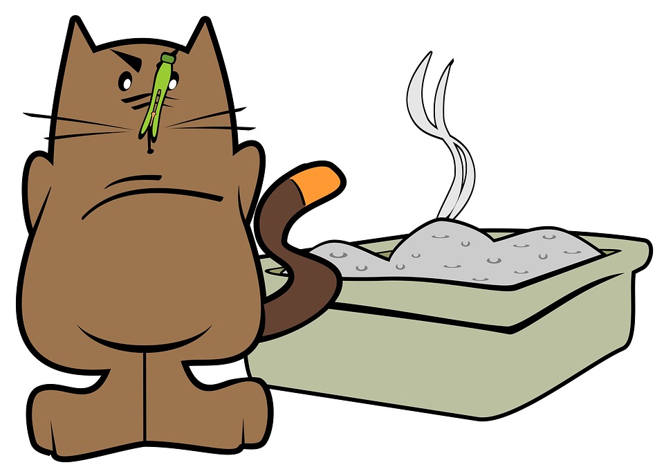 Cartoon cat smelling waste on her litter with an angry face