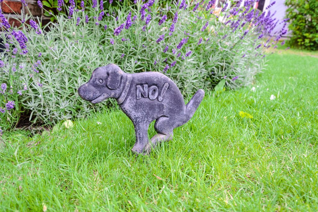 Statue on a lawn training dog not to poop on the lawn