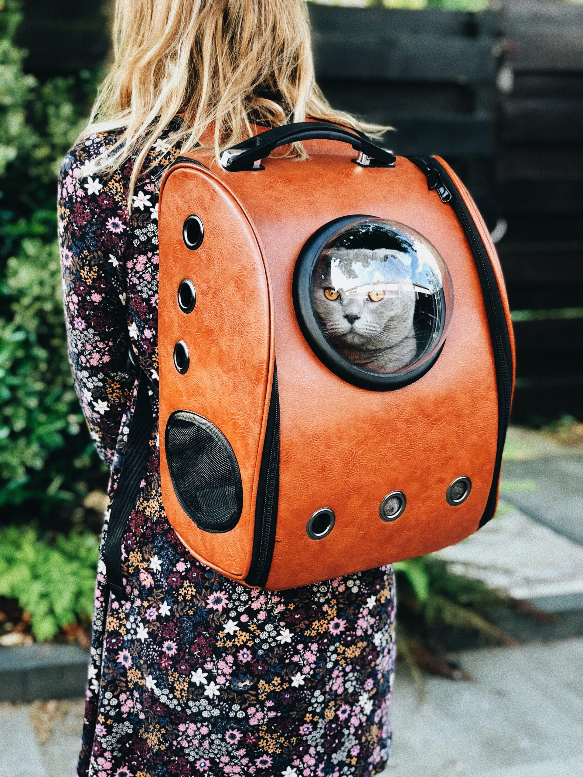 Girl wearing a cat backpack with a cat inside